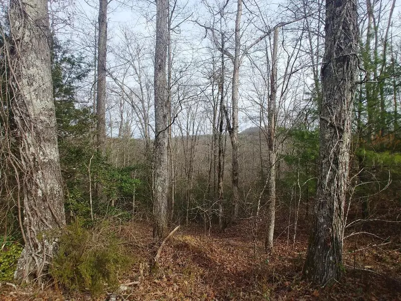 Black Creek, Robbins, TN 37852