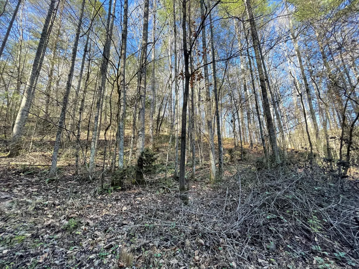 Hartford, TN 37753,000 Rabbit Hill Rd