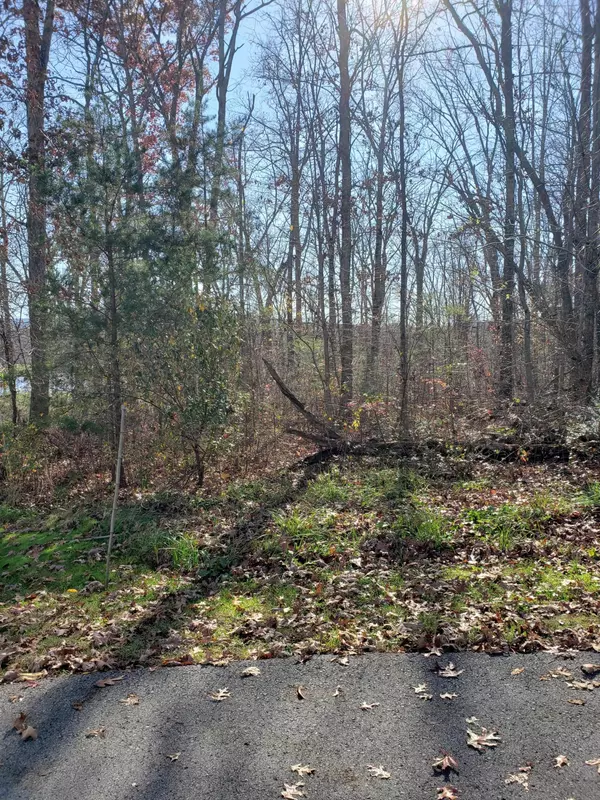 Crossville, TN 38571,Lot 21 Dosha Court