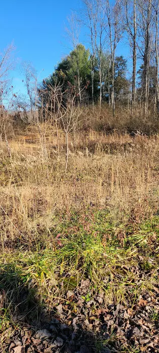 Tazewell, TN 37879,Tobe LN