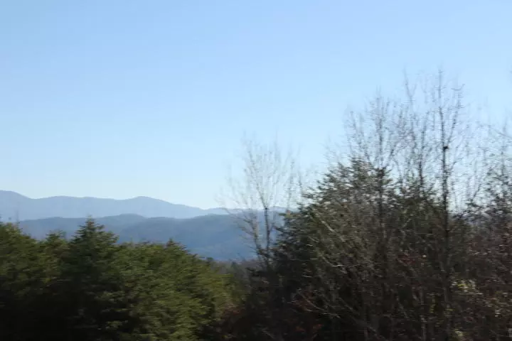 Tellico Plains, TN 37385,Lot 4 Curtis Rd