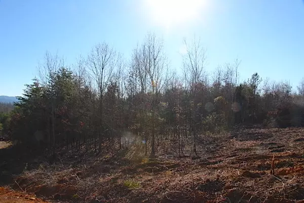 Tellico Plains, TN 37385,Lot 8 & 9 Curtis Rd