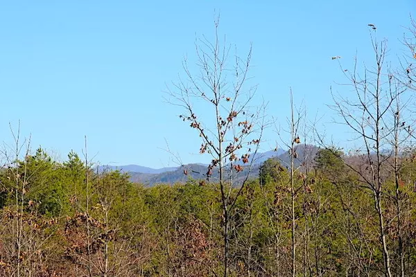 Tellico Plains, TN 37385,Lot 8 & 9 Curtis Rd