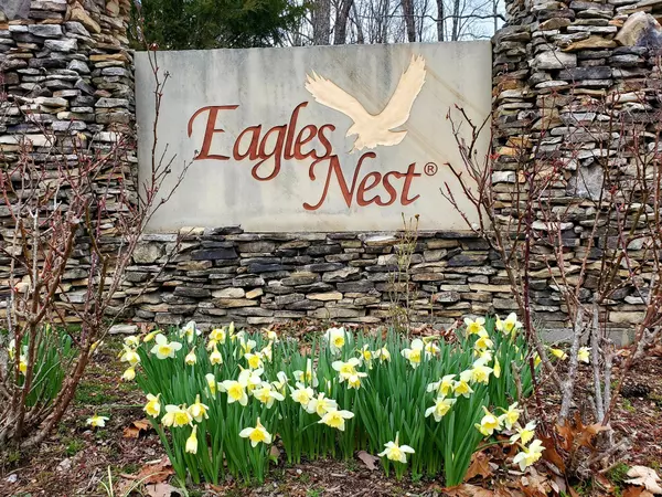 Crab Orchard, TN 37723,Lot 10 Lower Eagle's Nest