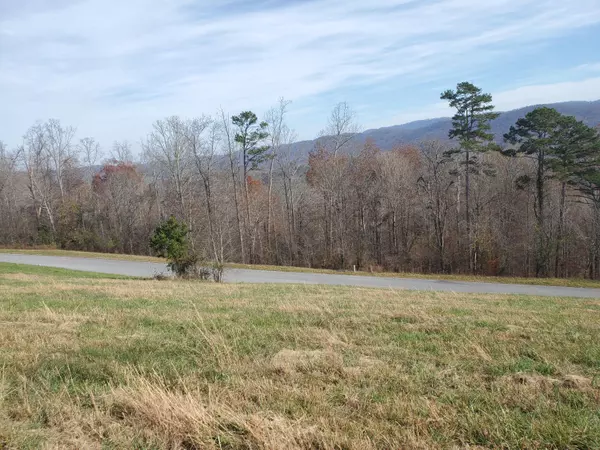 New Tazewell, TN 37825,Lot 300 Marble Point WAY