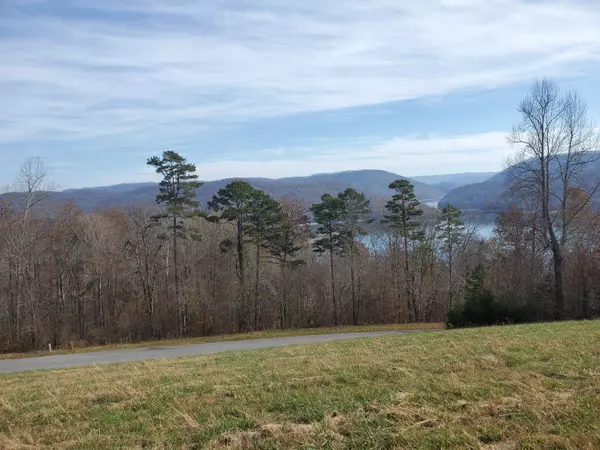 New Tazewell, TN 37825,Lot 300 Marble Point WAY