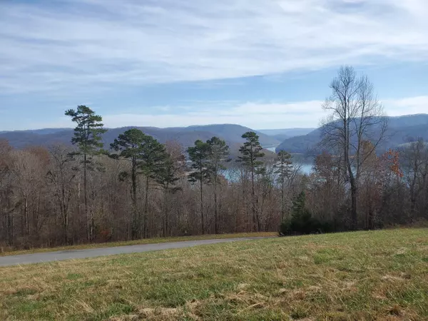 New Tazewell, TN 37825,Lot 300 Marble Point WAY