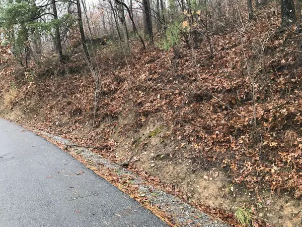 Sevierville, TN 37862,Overholt Trail