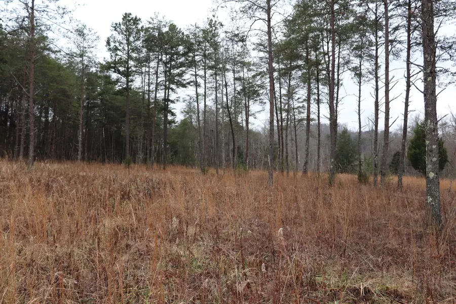 142 Scenic River Rd, Madisonville, TN 37354