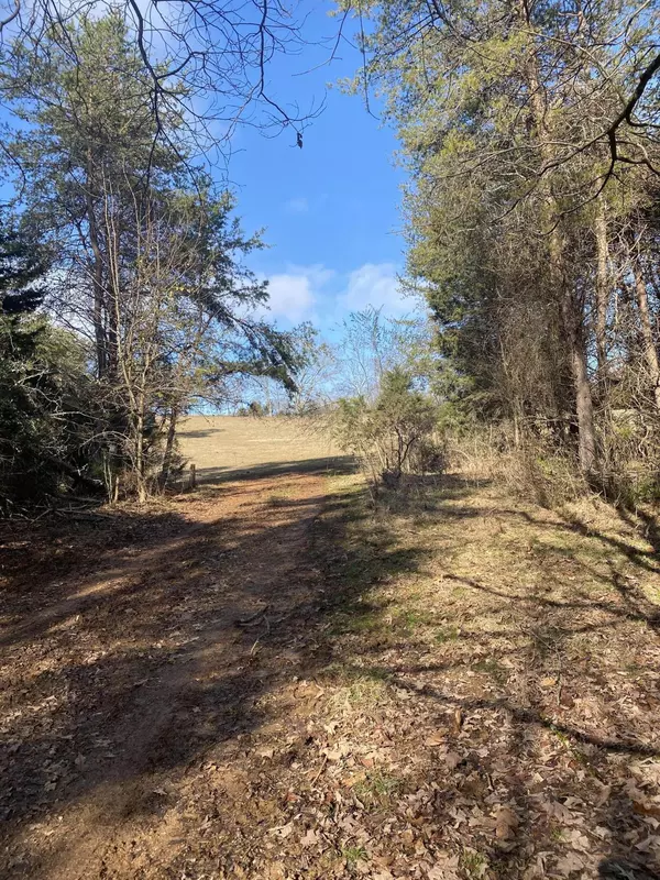 Strawberry Plains, TN 37871,Thorngrove PIKE