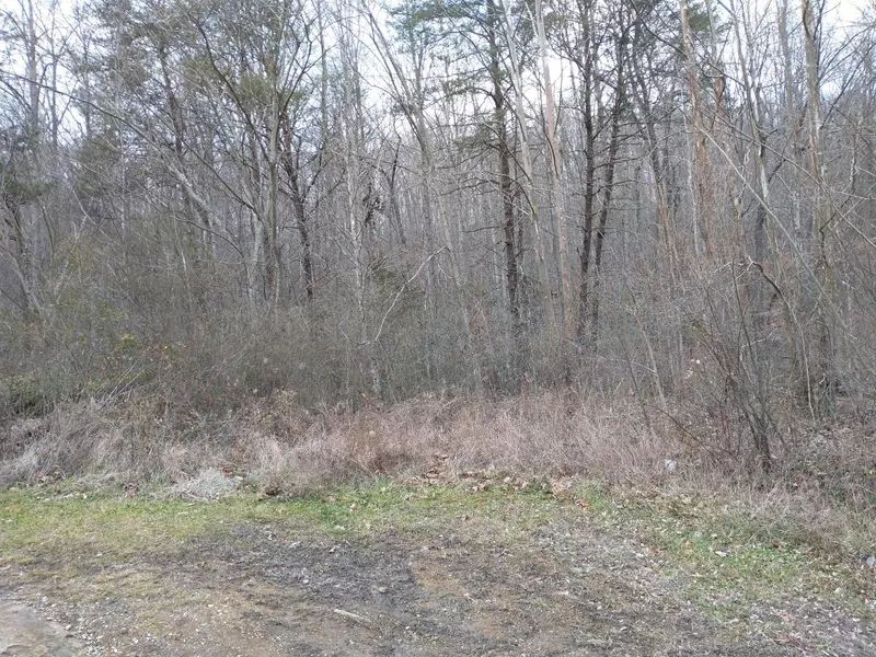 Hwy 27, Robbins, TN 37852