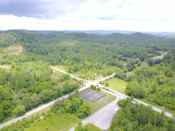 Harriman, TN 37748,Lot 60 Blue Heron Bluff DR