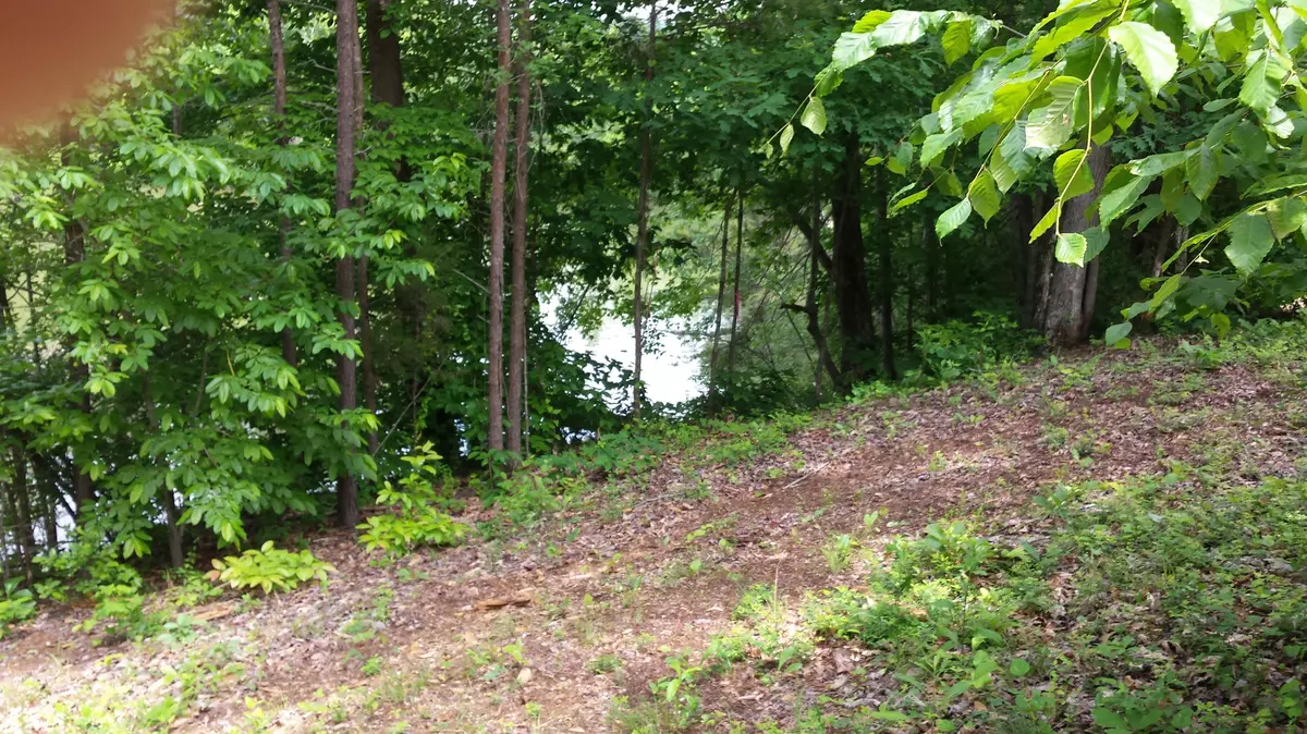 Harriman, TN 37748,Lot 60 Blue Heron Bluff DR