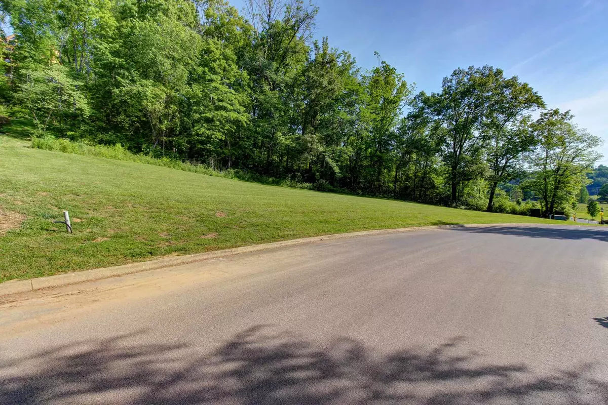 Sevierville, TN 37876,Lot 194R Wilderness Path WAY