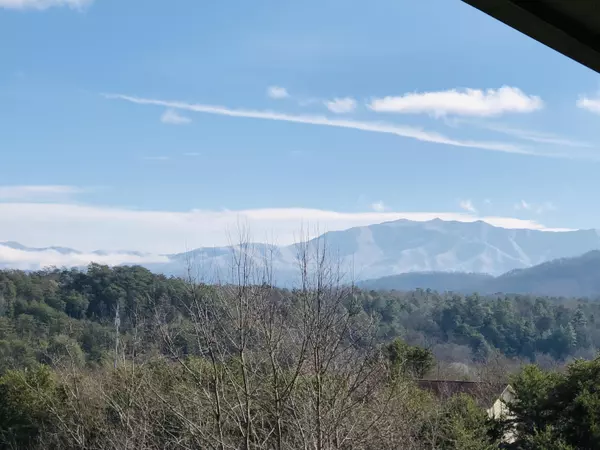 Pigeon Forge, TN 37863,526 Briarcliff WAY #UNIT 106