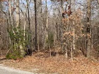 Crossville, TN 38555,Lot 20 Spruce LOOP