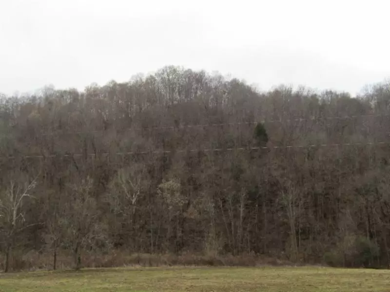 82.90ac Knob Creek Rd, Celina, TN 38551