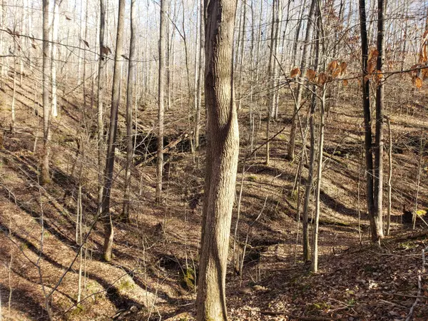 Lot 24 Riverwatch Tr, Sparta, TN 38583