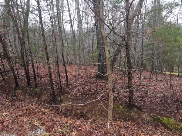 Fairfield Glade, TN 38558,131 Pineridge LOOP