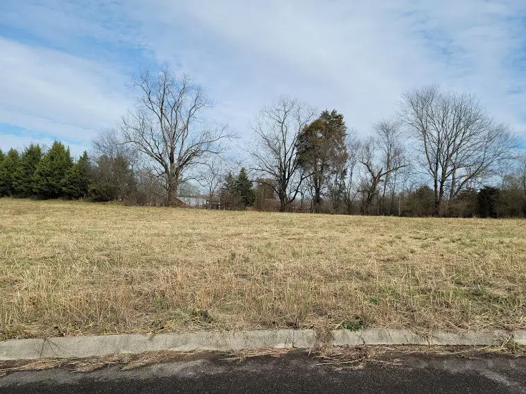 Englewood, TN 37329,Lot 10 Meadow Lawn DR