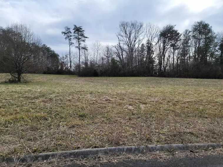 Lot 14 Meadow Lawn DR, Englewood, TN 37329