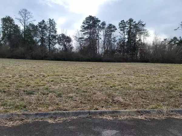 Lot 18 Meadow Lawn DR, Englewood, TN 37329