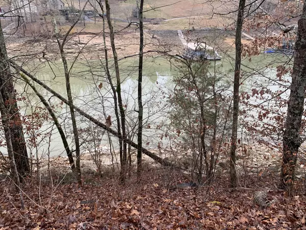 Jacksboro, TN 37757,lot 5 Lake Dr (Satelite)