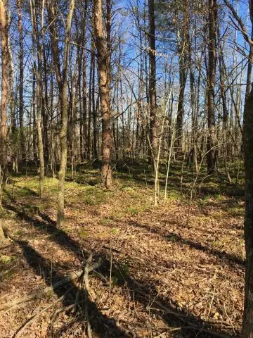 Lot 3 Welch Road, Tellico Plains, TN 37385