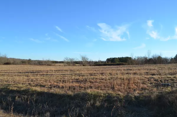 Crossville, TN 38572,Perry Creek Lot 4 DR