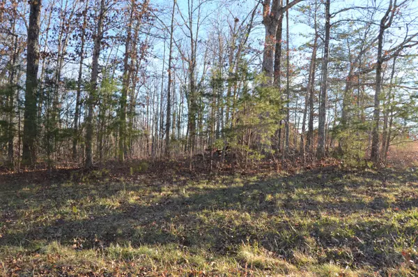 Crossville, TN 38572,Perry Creek Lot 9 DR