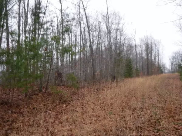 Moss, TN 38575,27.16ac Arrowhead Rd