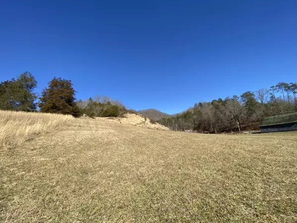 Blackwater, VA 24221,5635 Flower Gap Rd