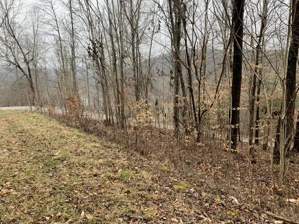 Jacksboro, TN 37757,lot 36 Lakeside DR