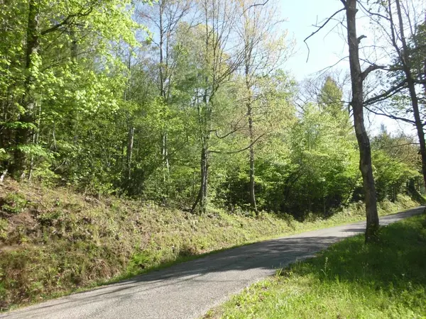 Tellico Plains, TN 37385,525 cooper hollow rd Rd