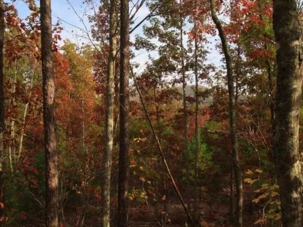 Tellico Plains, TN 37385,Joe Brown Hwy Lots 11-13