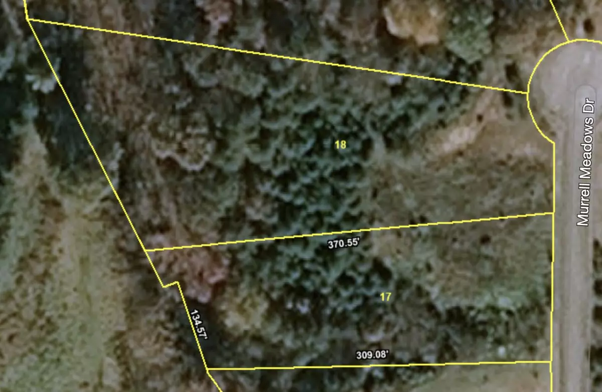 Sevierville, TN 37862,Lot 17&18 Murrell Meadows DR