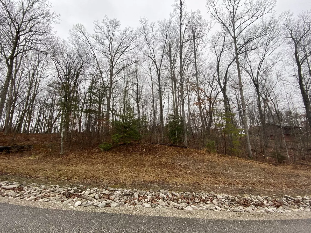 Jamestown, TN 38556,Foxfire Trace