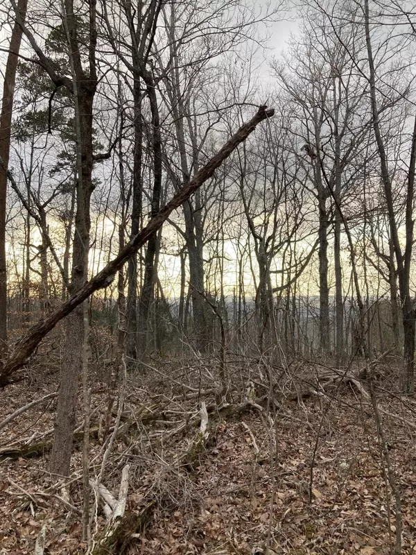 Cleveland, TN 37311,Lot 20 Brentwood Trail