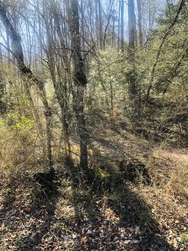 Sevierville, TN 37862,Pleasant View LN