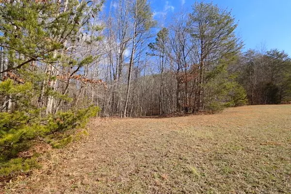 Tellico Plains, TN 37385,1 Forest View