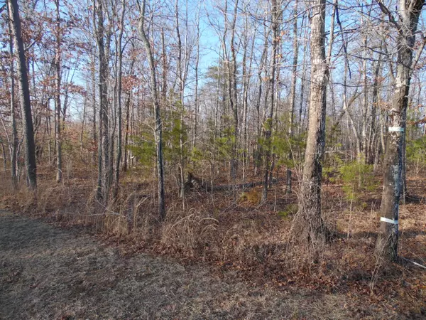 Spencer, TN 38585,Lot 7 Long Branch Rd