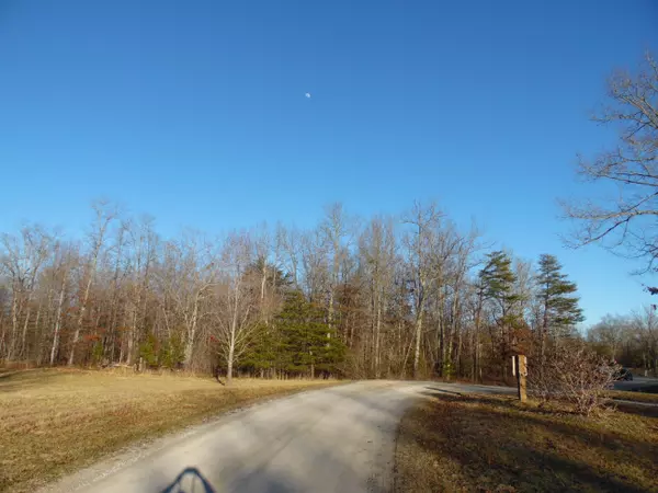 Spencer, TN 38585,Lot 7 Long Branch Rd