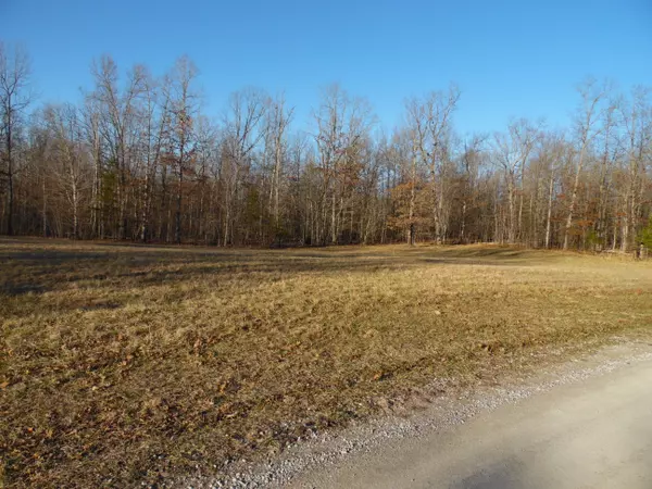 Spencer, TN 38585,Lot 7 Long Branch Rd