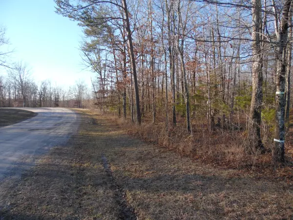 Spencer, TN 38585,Lot 7 Long Branch Rd