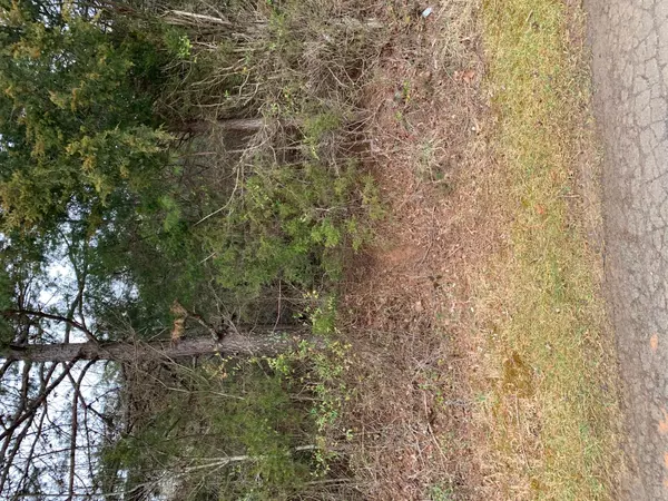 Speedwell, TN 37870,lot 13 Brantley Acres Rd