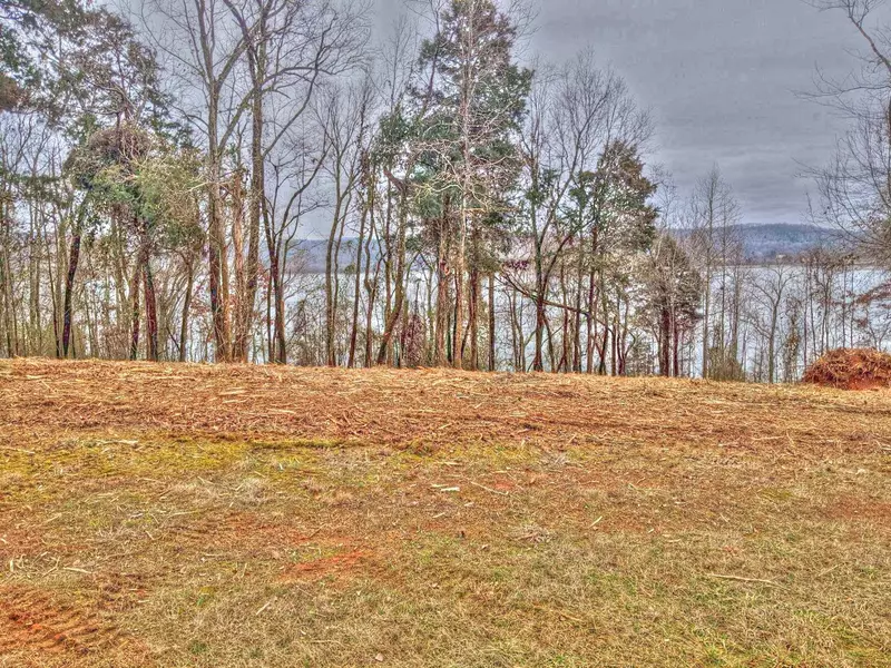 Lot 176 Shore DR, Rockwood, TN 37854