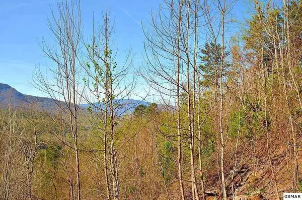 Gatlinburg, TN 37738,415 Lucerne Way WAY