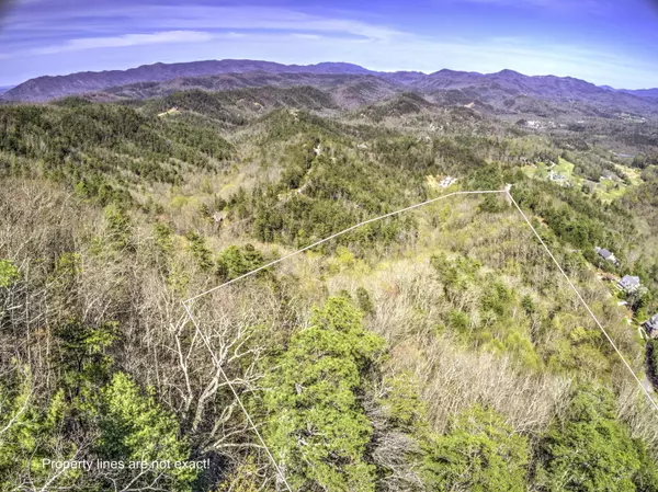 Townsend, TN 37882,Bear Den Rd