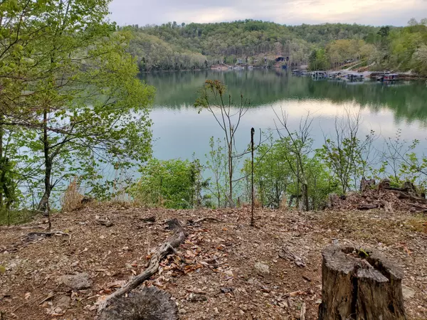 Jacksboro, TN 37757,Lot 47 Stoney Rock Lane