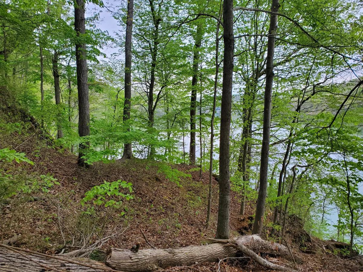 Jacksboro, TN 37757,Lot 47 Stoney Rock Lane